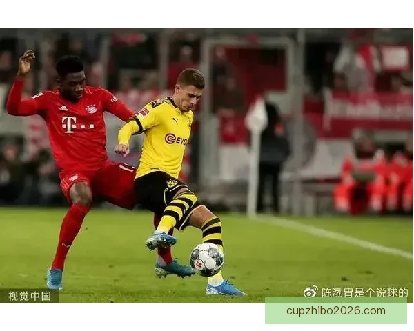 精准分析与专业预测助你赢得体育竞猜胜利，稳抓投资机会